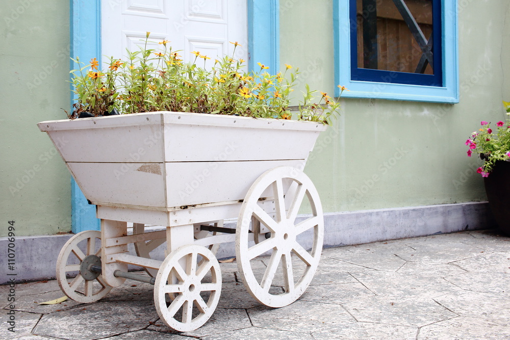 Yellow Flowers Planting In A White Wooden Cart Yellow Flowers Planting In A White Wooden Cart