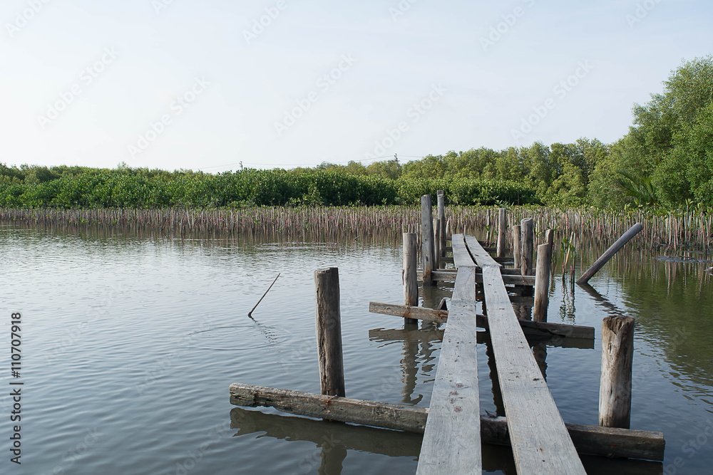 The bridge wood near Mangrove forest