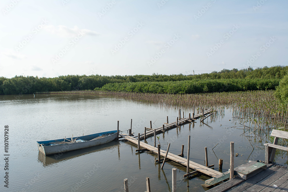 Fototapeta premium The bridge wood and Mangrove forest