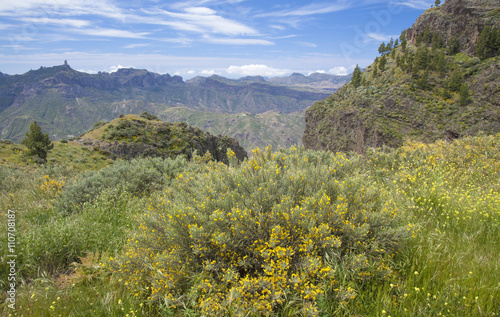 Gran Canaria  Calders de Tejeda in April