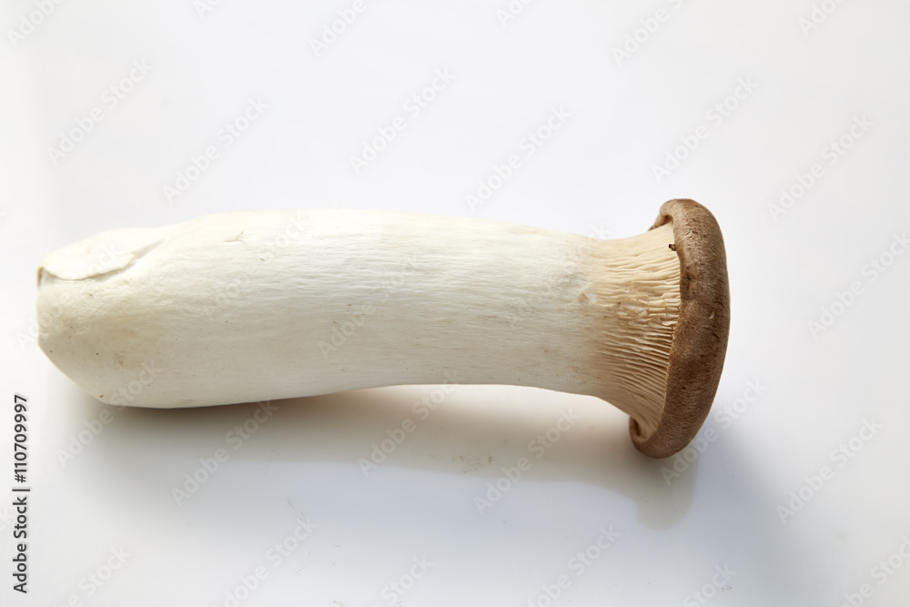 mushrooms mushrooms