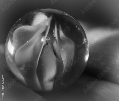 Closeup of a marble photo