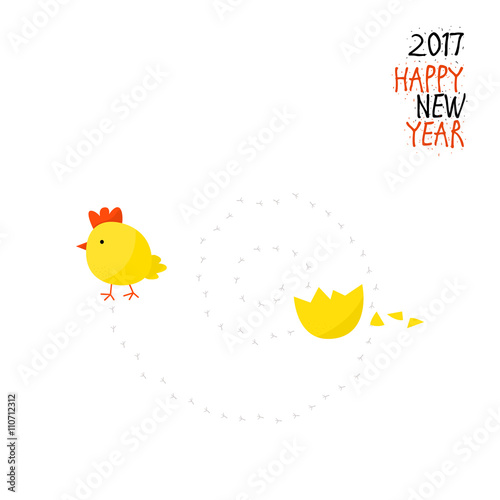 Chicken hatched from the egg