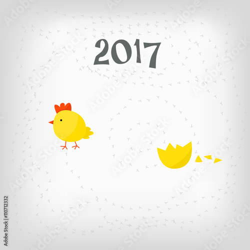 Chicken hatched from the egg