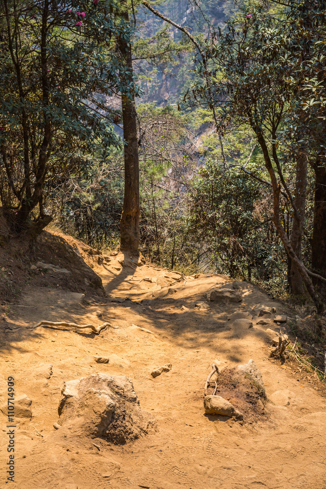 Fototapeta premium The trail in the Himalayas