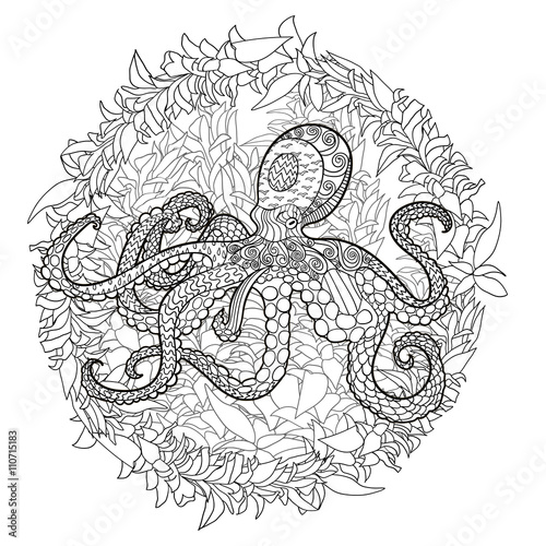 Octopus with high details. 