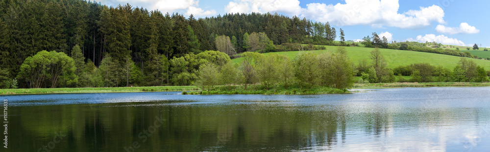 Beautiful summer rural landscape