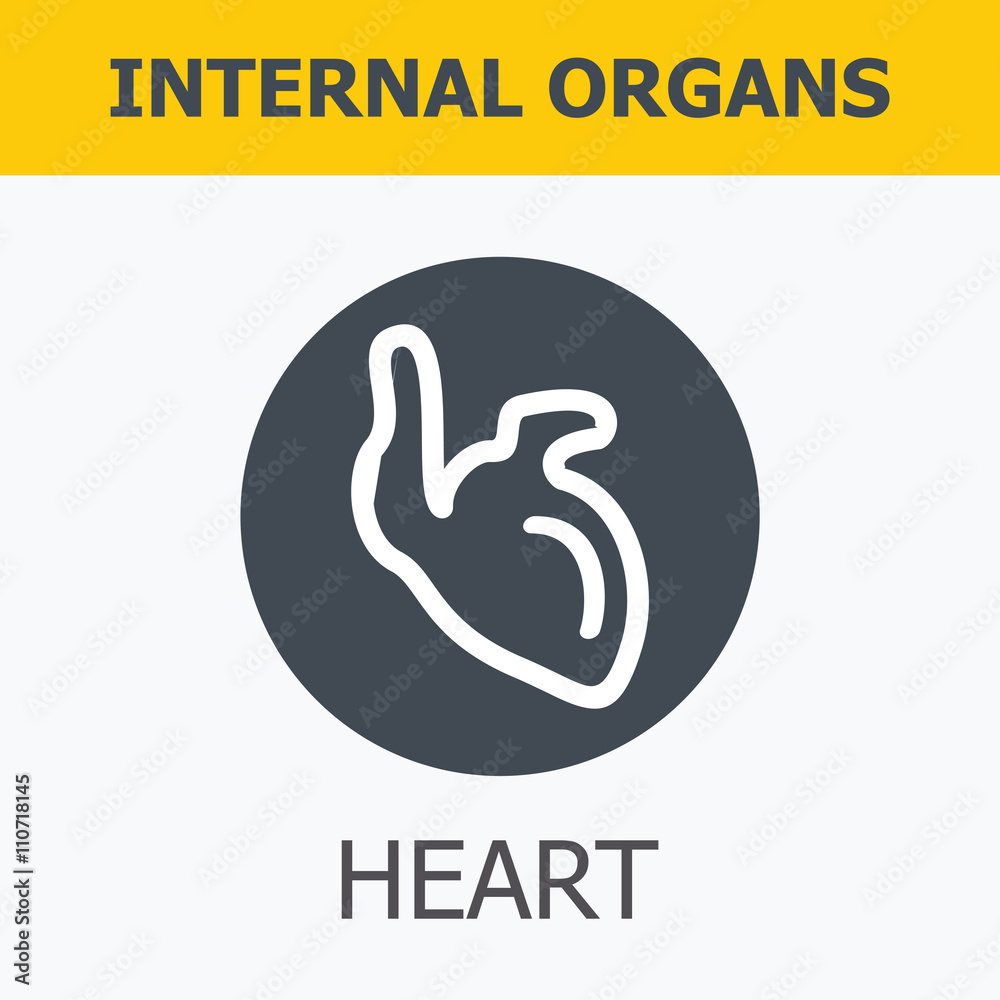 Fototapeta premium Internal organs set. Medical infographic icons, human organs, body anatomy. Vector icons of internal human organs Flat design. Internal organs icons. Internal organs icons art.