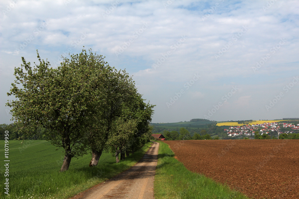 Obraz premium Spring landscape