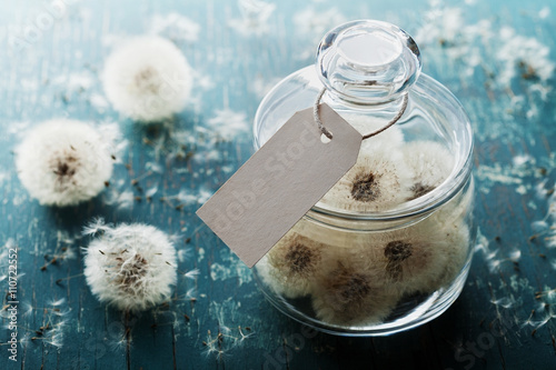 Fototapeta Naklejka Na Ścianę i Meble -  Blowball or dandelion in wishing jar with paper tag, rustic teal background, make a wish concept, unusual gift or present