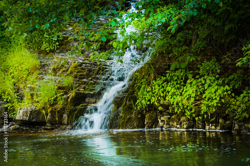 Fototapeta Naklejka Na Ścianę i Meble -  Mountain stream in summer