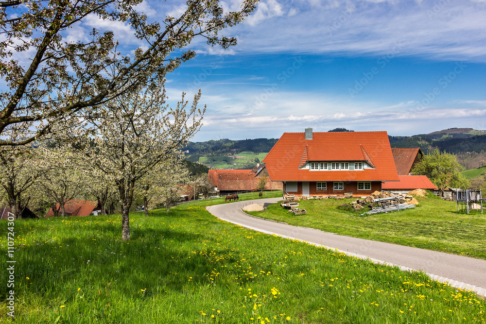 Wunschmotiv: moderner Bauernhof im Frühling, Schwarzwald #110724307