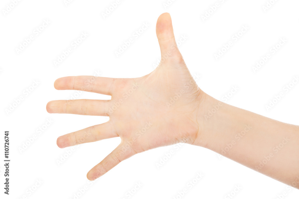 Woman palm with five fingers
