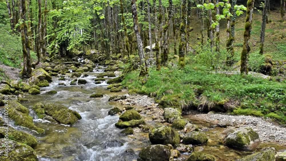 rivière l'hérisson rivière l'hérisson