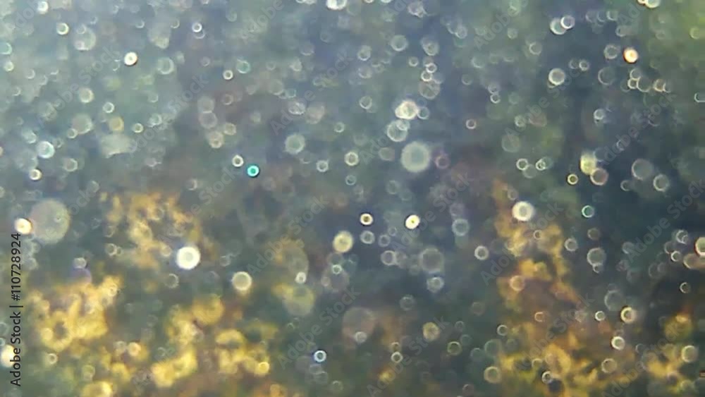 Unterwasseraufnahme von Sonnenreflexen