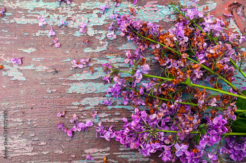 The beautiful lilac on a wooden background