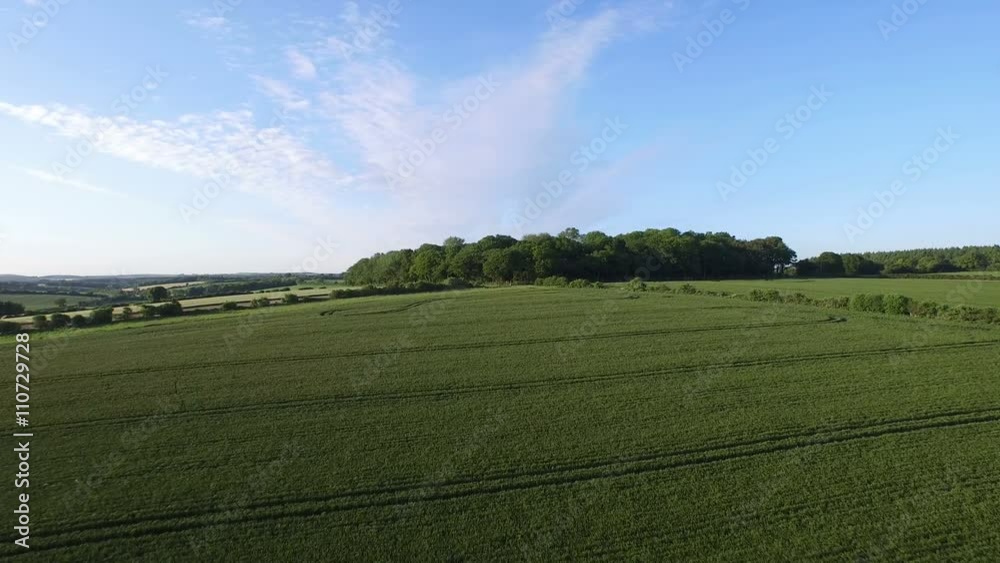 Aerial flight above forest & fields in the English countryside. Aerial flight above forest & fields in the English countryside.