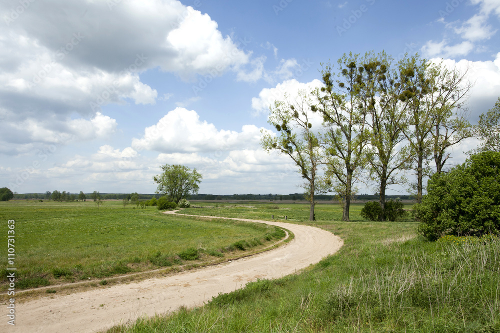 country ground winding road