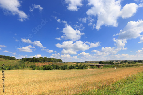 beauty fields