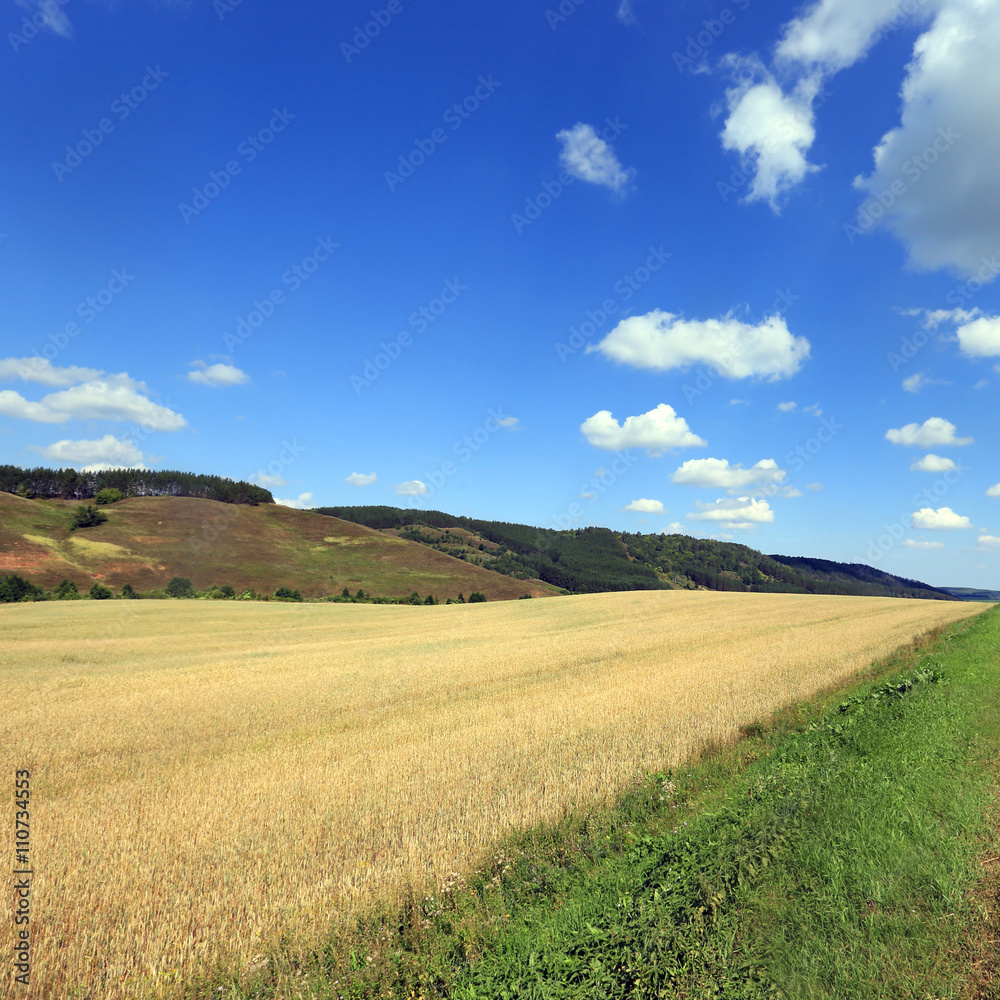 road in a field