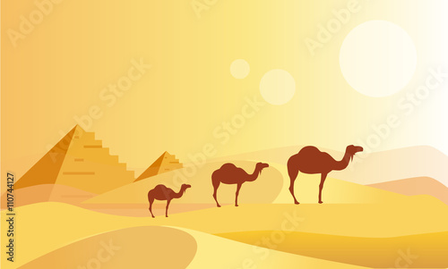 Camel Caravan And Pyramides