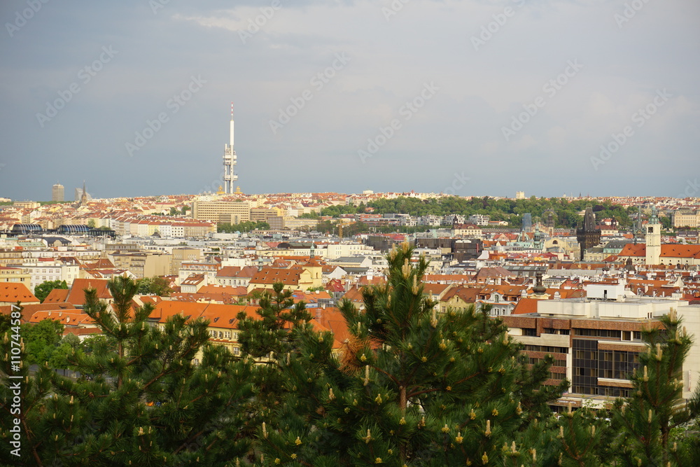 Aerial view of the city of Prague (in the Czech Republic, Europe) from the Letna district, facing the UNESCO city center with its famed old towers and red roofs