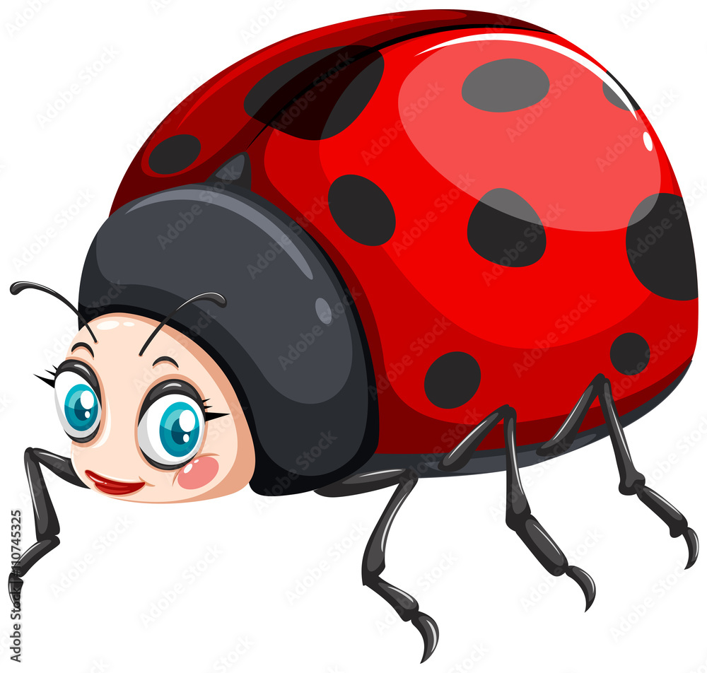 Obraz premium Ladybug with happy face