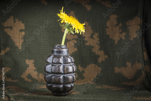 Blossomed danelion in the fragmentation granade photo