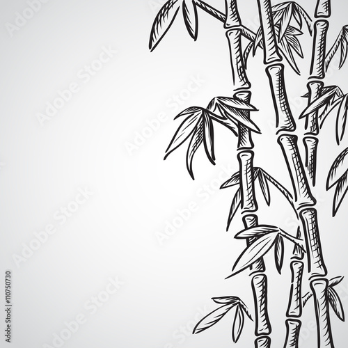 Background with bamboo stems