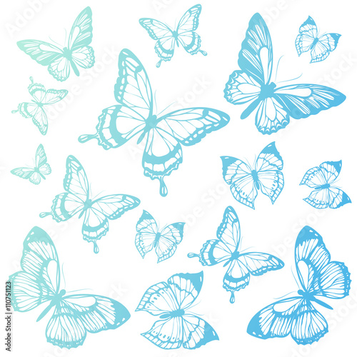 butterflies design