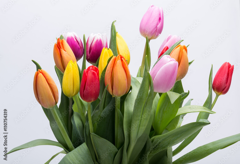 Fototapeta premium colorful bouquet of fresh spring tulip flowers
