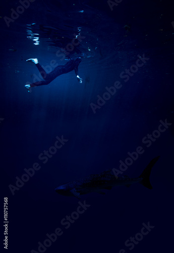 woman at night with shark