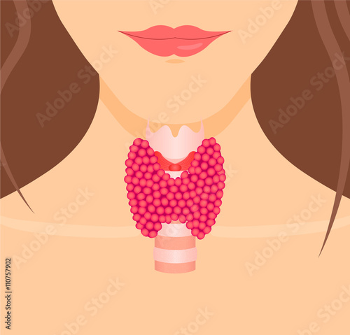 Thyroid gland vector illustration. Thyroid gland and trachea shwn on a woman silhouette. Thyroid diagram sign. Thyroid anatomy. Thyroid icon. Medical concept. Anatomy of people.