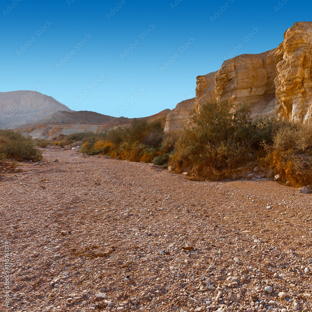 Obraz premium Desert in Israel