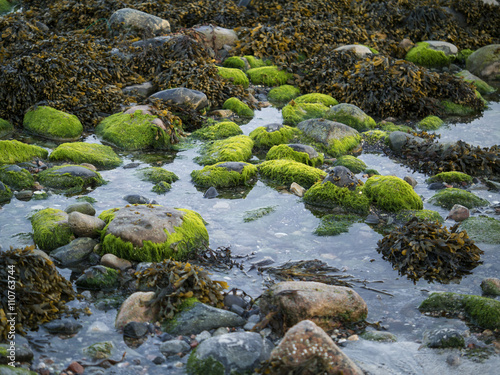 Green stones on a beach.