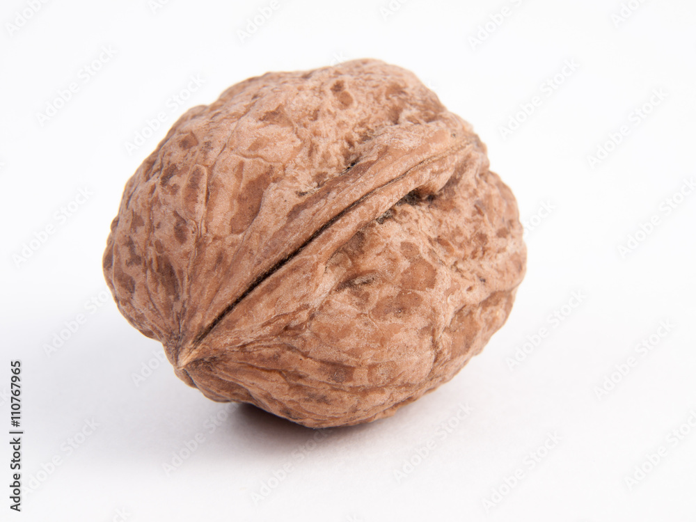 Single walnut isolated on a white background Single walnut isolated on a white background