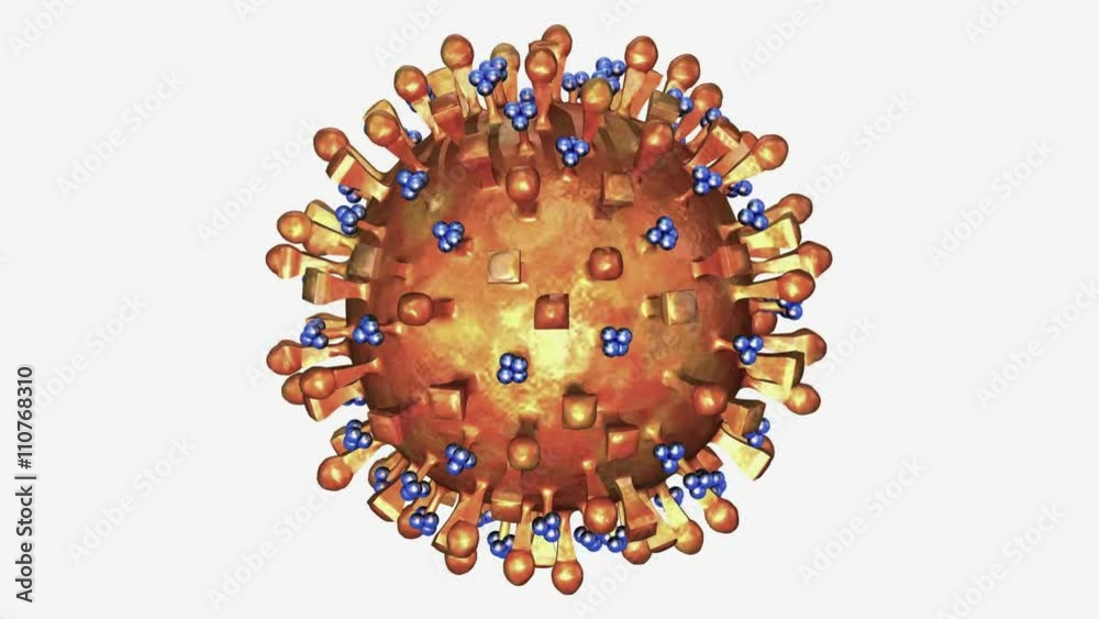 Avian flu
