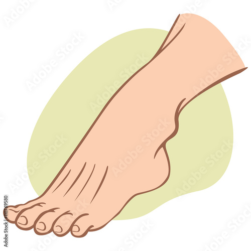 Individual human foot. caucasian