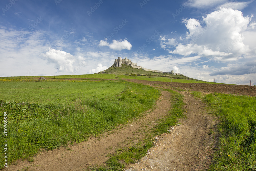 fields road to old castle in Slovakia