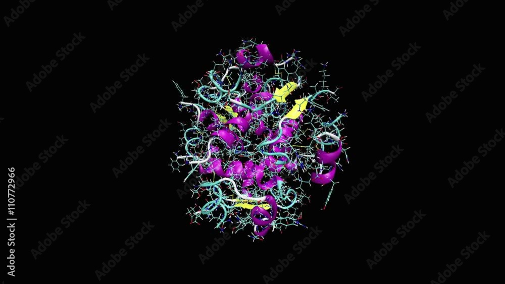 Animation of insulin molecule