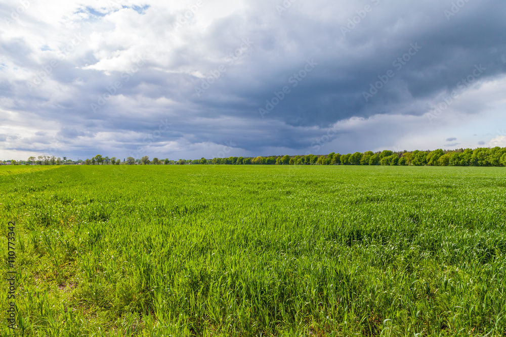 grüne Wiese und wolkiger Himmel