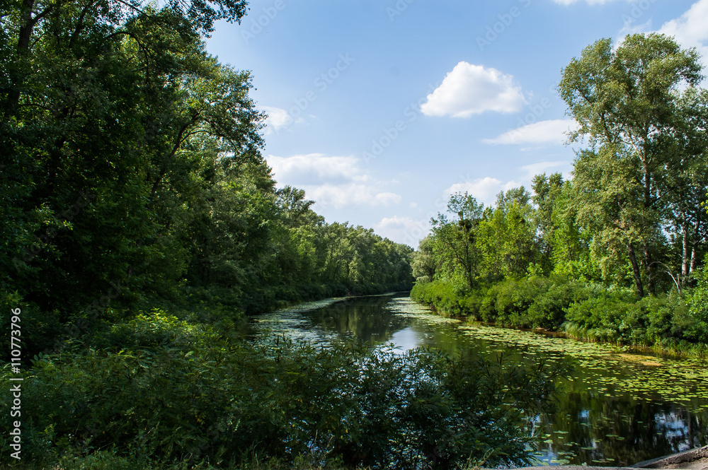 lake forest summer