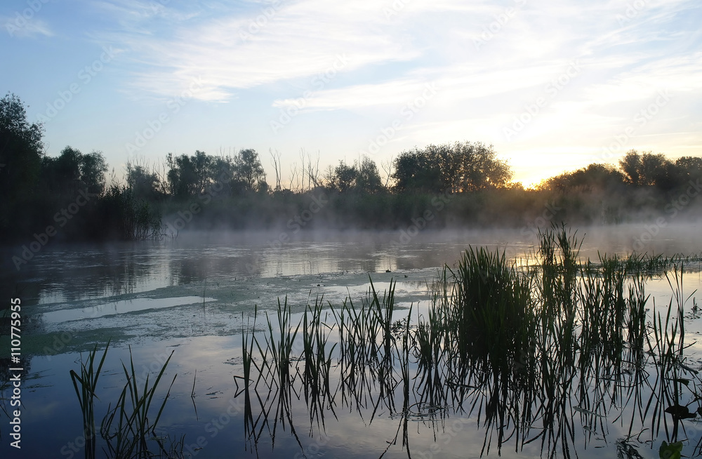 Fototapeta premium Morning landscape with fog on the river