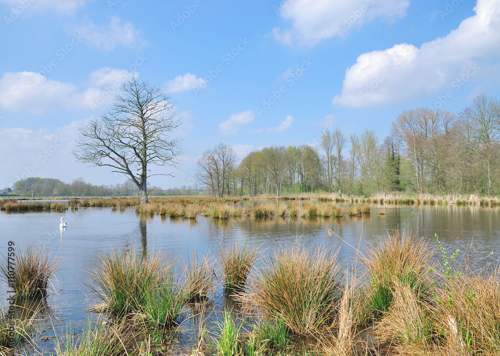 im Naturpark Schwalm-Nette bei Nettetal am Niederrhein,Rheinland,Nordrhein-Westfalen,Deutschland im Naturpark Schwalm-Nette bei Nettetal am Niederrhein,Rheinland,Nordrhein-Westfalen,Deutschland