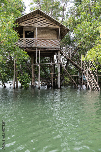 Treehouse on Neyyar River