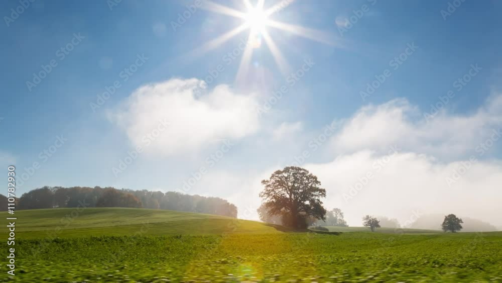 Rural Landscape