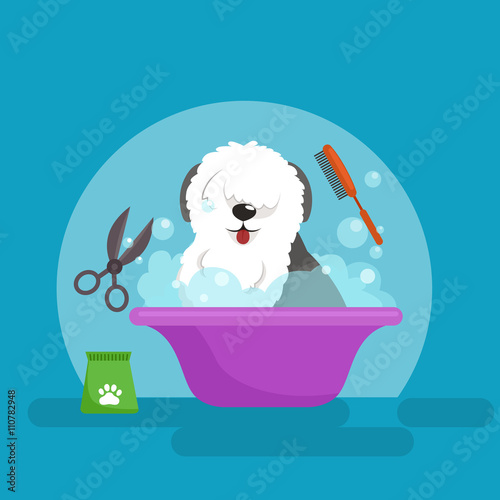 Dog hair hygiene. Vector Illustration Set, Pet Grooming and care