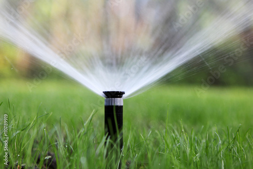 sprinkler of automatic watering photo