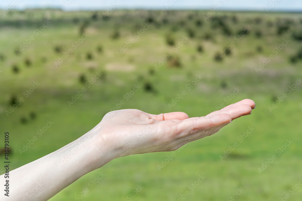 Female hand on a background of nature Female hand on a background of nature