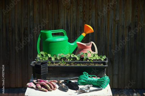 Gardening tools and equipment